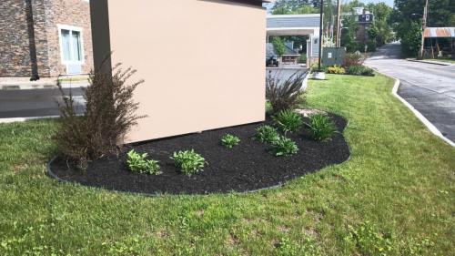 Business Landscaping